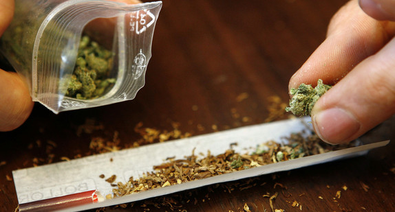 Ein Mann dreht einen Joint mit Marihuana. (Foto: dpa)