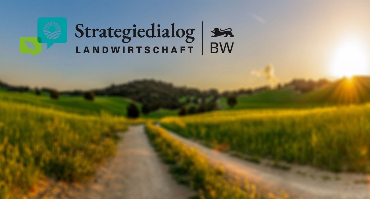Ein Feldweg schlängelt sich durch eine hügelige Landschaft mit Feldern. Oben links im Bild ist das Logo des Strategiedialogs Landwirtschaft zu sehen.