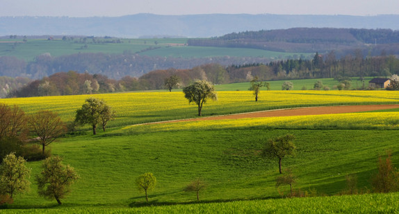 Blick über Hohenlohe