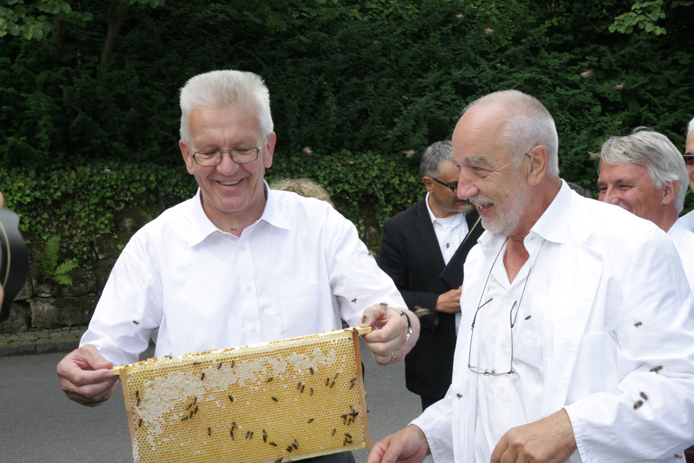 Ministerpräsident Winfried Kretschmann betrachtet Bienenwaben. Rechts von ihm steht Dr. Helmut Horn von der Landesanstalt für Bienenkunde.