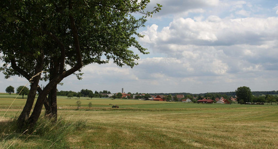 Mudau - Scheidental