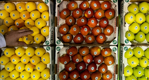 Bio-Äpfel der Sorte Opal (l-r), Elstar und Golden Delicious liegen während der Öko-Fachmesse Biofach in Kisten.(Bild: © dpa)