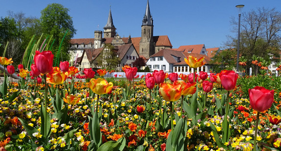 Tulpenblüte in Öhringen (Quelle: Landesgartenschau Öhringen 2016)