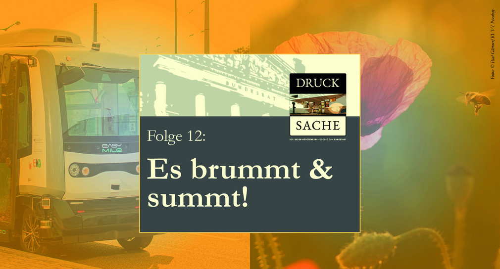 Podcast zum Bundesrat #12 DRUCK SACHE – „Es brummt und summt“