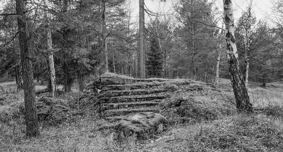 „Buchenwald – Im Dickicht  vom Ettersberg“