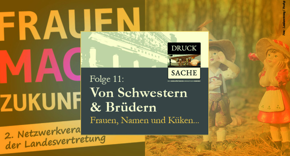 Podcast zum Bundesrat #11 DRUCK SACHE – „Von Schwestern & Brüdern“