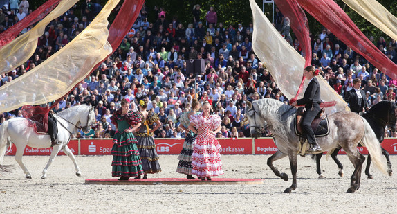 Hengstparade in Marbach