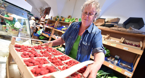 Eine Mitarbeiterin stellt in einem Hofladen in Flehingen Himbeeren aus eigenem Anbau in den Verkaufsraum (Foto: © dpa).  