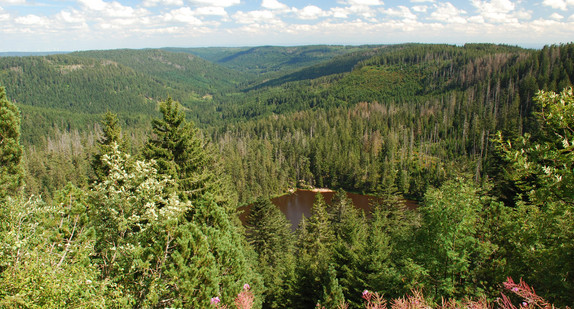 Wildseeblick