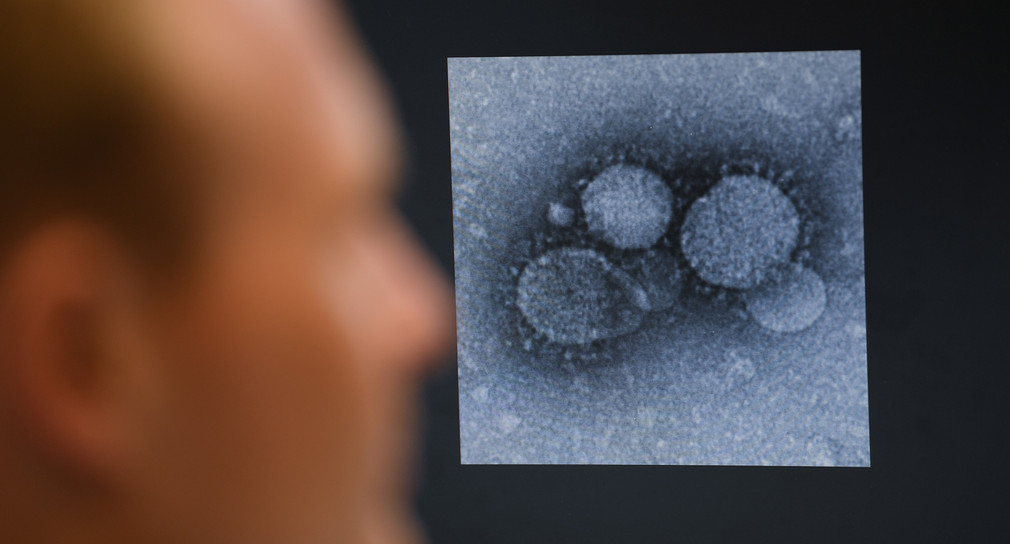 Ein Mann betrachtet auf einem Computermonitor die Elektronenmikroskopaufnahme eines MERS-Coronavirus, einem engen Verwandten des neuartigen Coronavirus. (Bild: Arne Dedert/dpa)