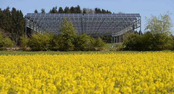 Eine Solaranlage steht über einem Feld, auf dem Getreide und Gemüse angebaut wird.