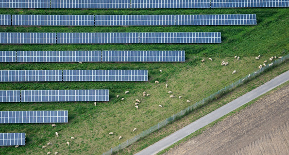 Symbolbild: Schafe grasen neben einem großen Feld mit Solaranlagen. (Bild: Julian Stratenschulte / dpa)