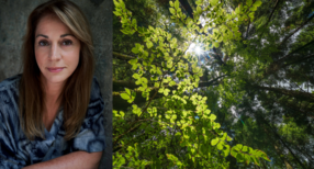 Gespr&auml;che &uuml;ber B&auml;ume. Gedichte zur Demokratie am 5.5.2025 in der Landesvertretung Baden-W&uuml;rttemberg