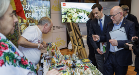 Donausalon in der Landesvertretung Baden Wuerttemberg