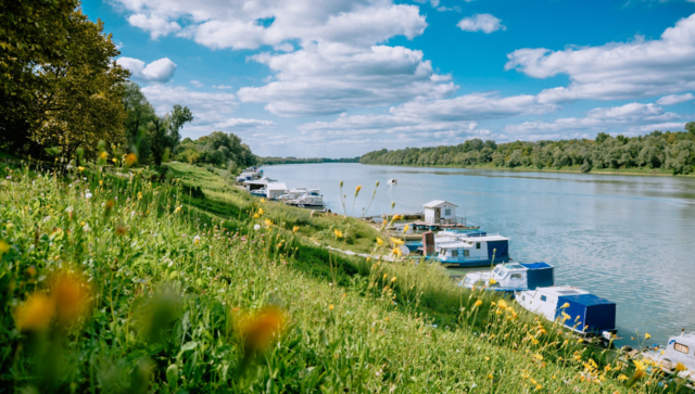 Der Fluss Sava