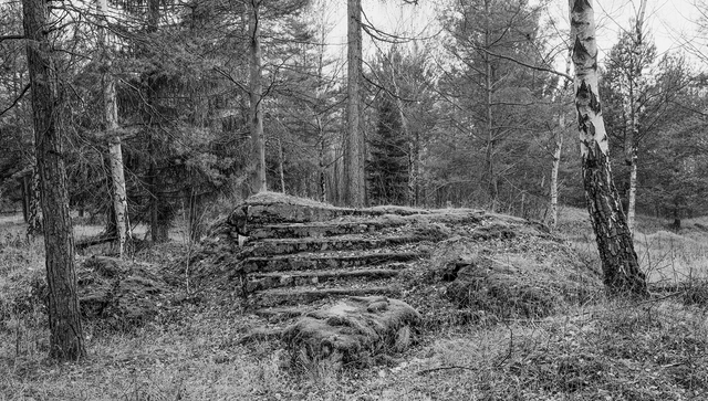 Multimediale Buchpr&auml;sentation: &bdquo;Buchenwald &ndash; Im Dickicht von Ettersberg"